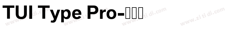 TUI Type Pro字体转换
